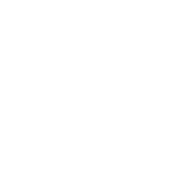 Logo West Dom